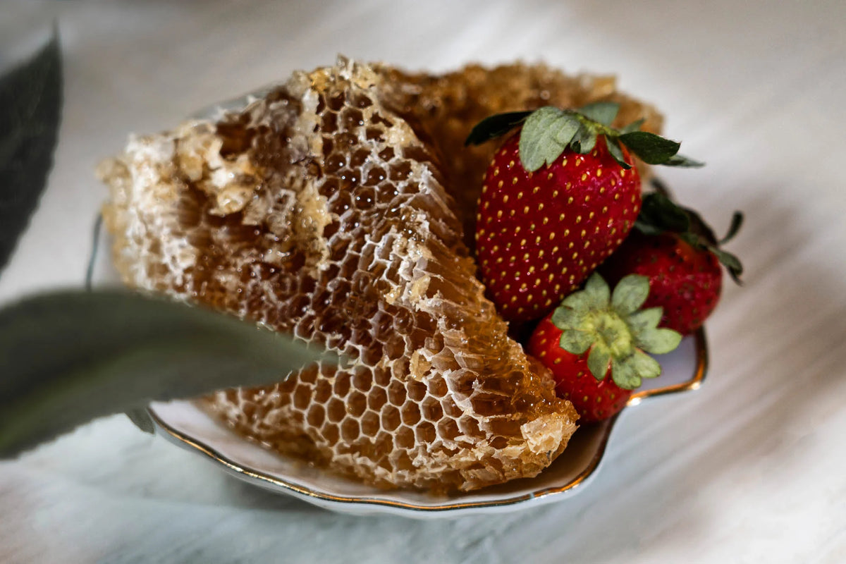 SEDRA Yemeni Honeycomb