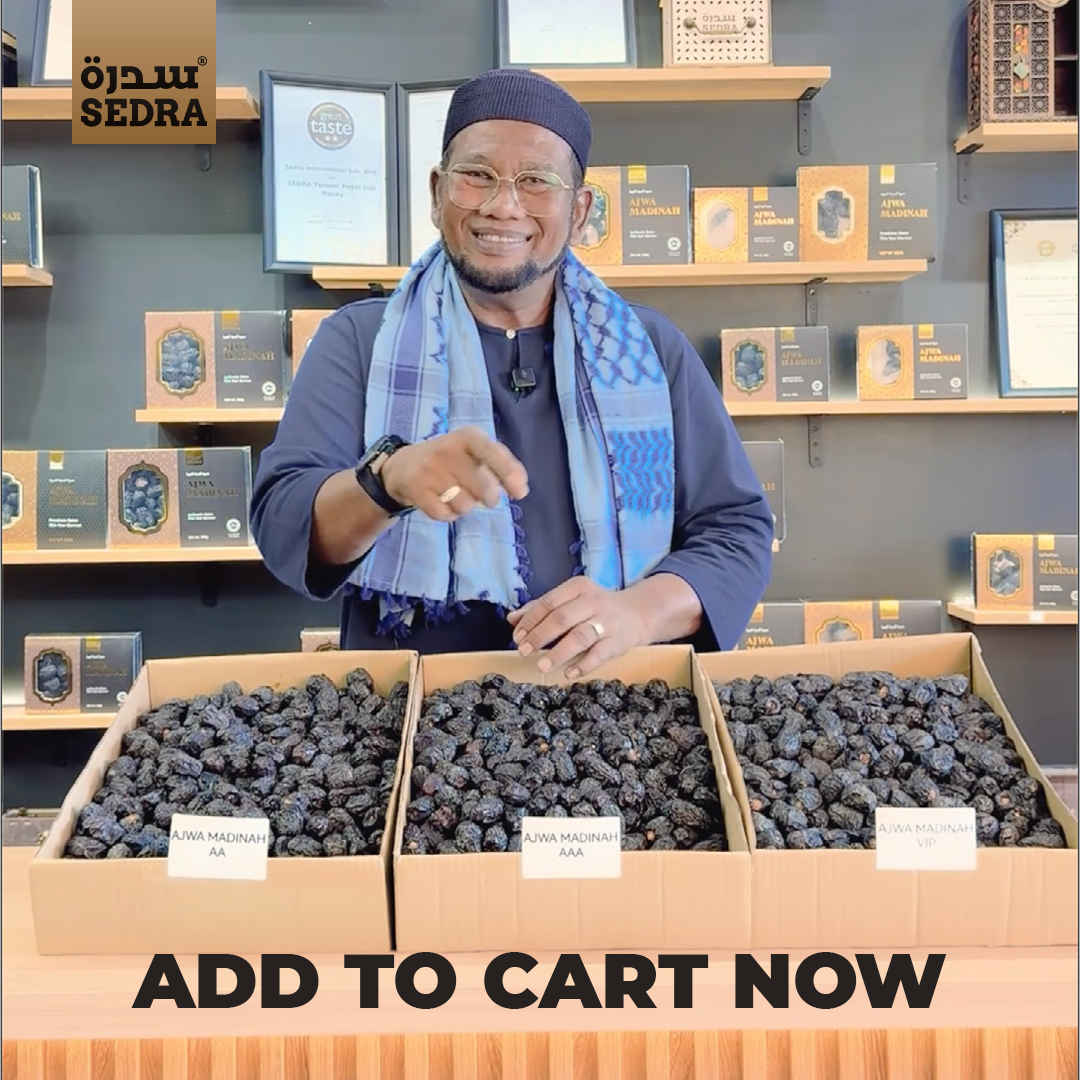 Ajwa Madinah Dates – 5kg Box – image 9