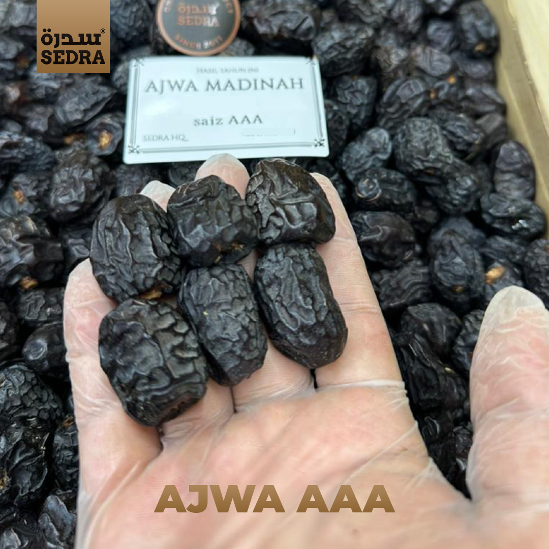 Ajwa Madinah Dates – 5kg Box – image 11