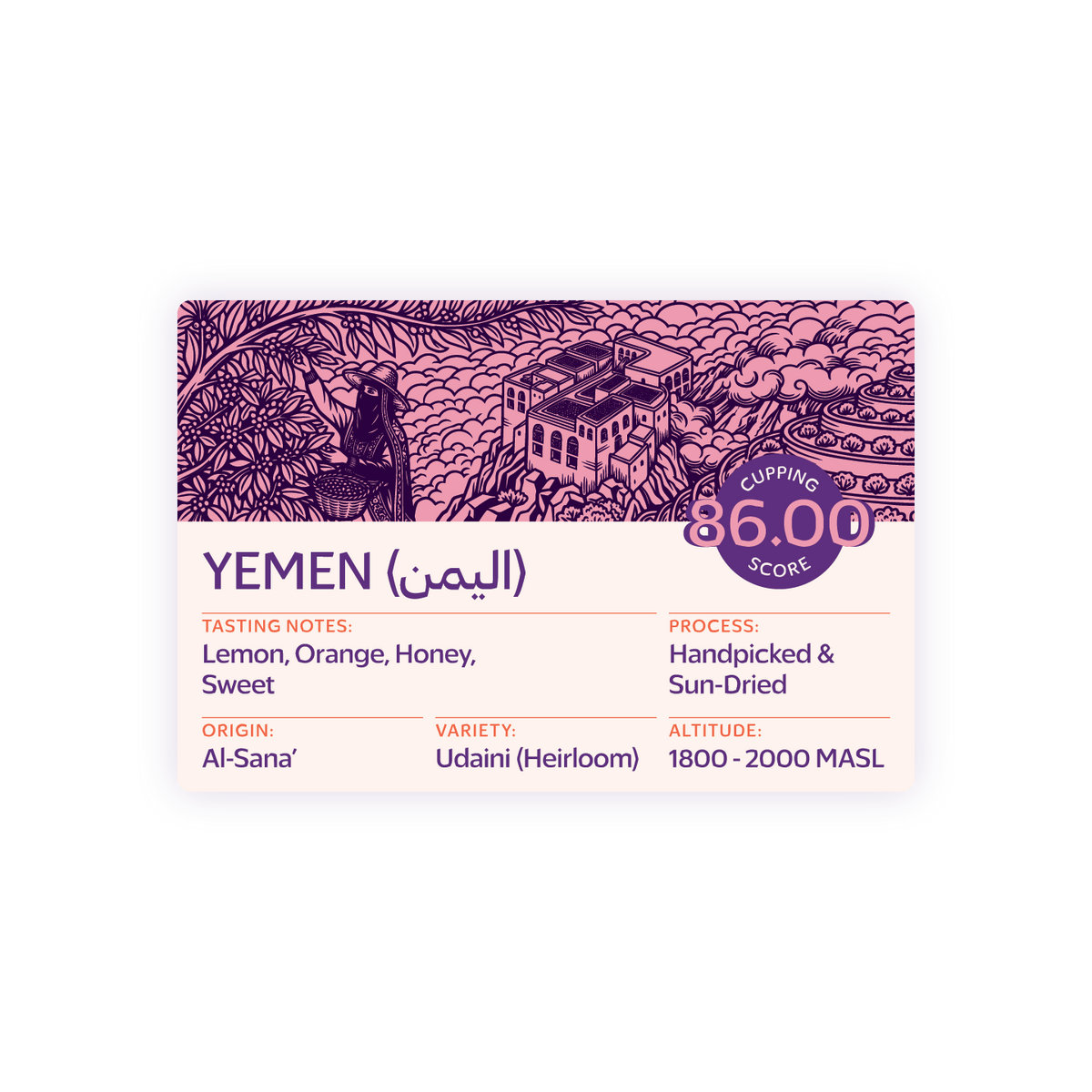 TROVICA Al-Sana' Yemeni specialty coffee 200 g label: tasting notes, origin, cupping score