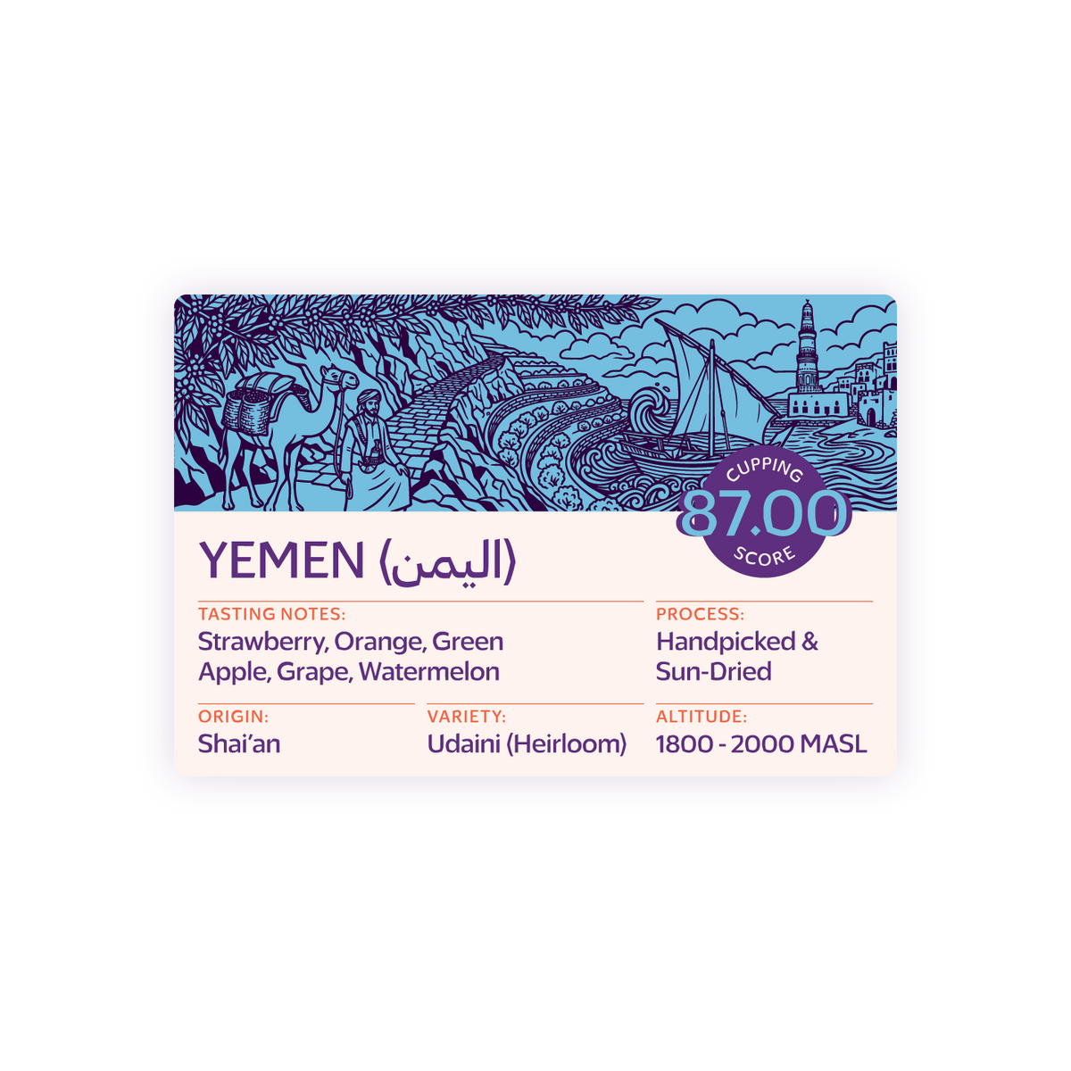 TROVICA Shai'an Yemeni specialty coffee 200 g label: tasting notes, origin, cupping score