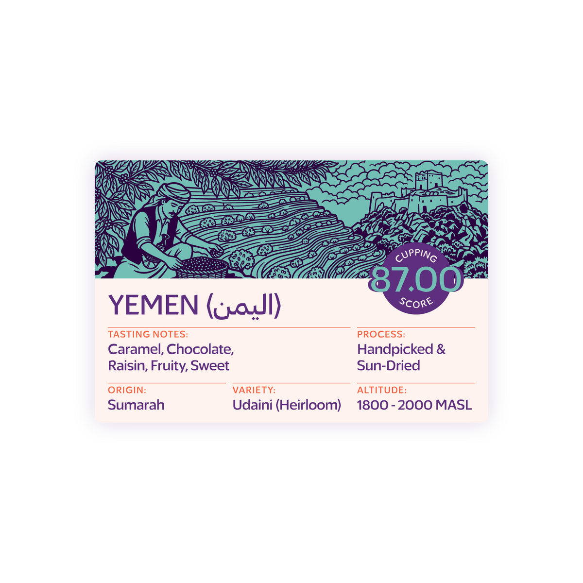 TROVICA Sumarah Yemeni specialty coffee 200 g label: tasting notes, origin, cupping score
