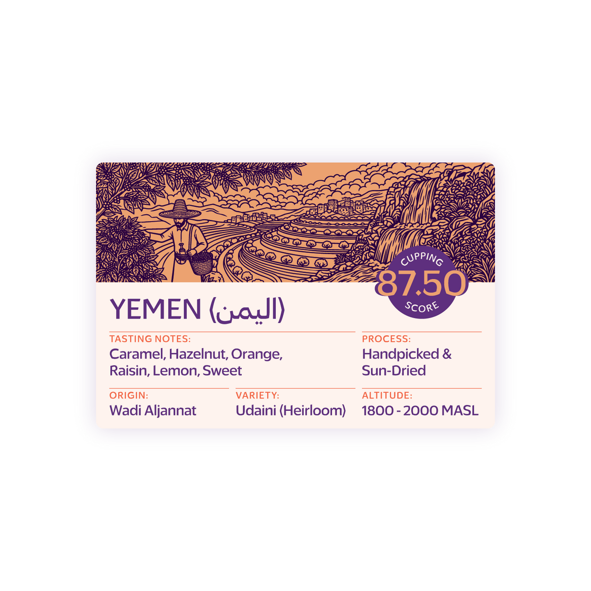 TROVICA Wadi Aljannat Yemeni specialty coffee 200 g label: tasting notes, origin, cupping score